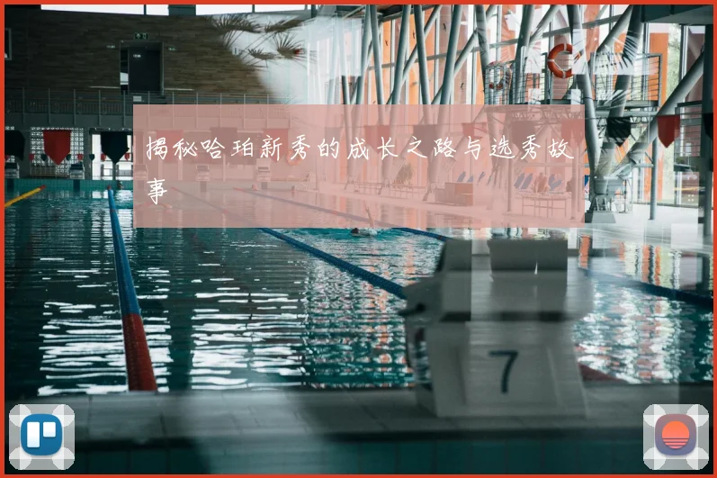 揭秘哈珀新秀的成长之路与选秀故事