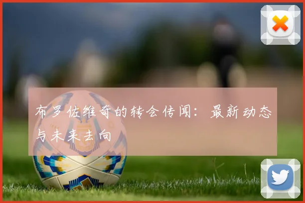 布罗佐维奇的转会传闻:最新动态与未来去向